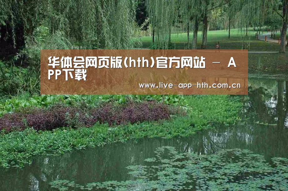 案例展示一