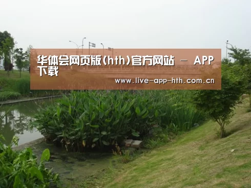 案例展示四