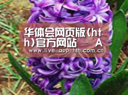 产品名称八