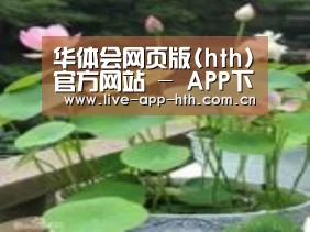 产品名称一