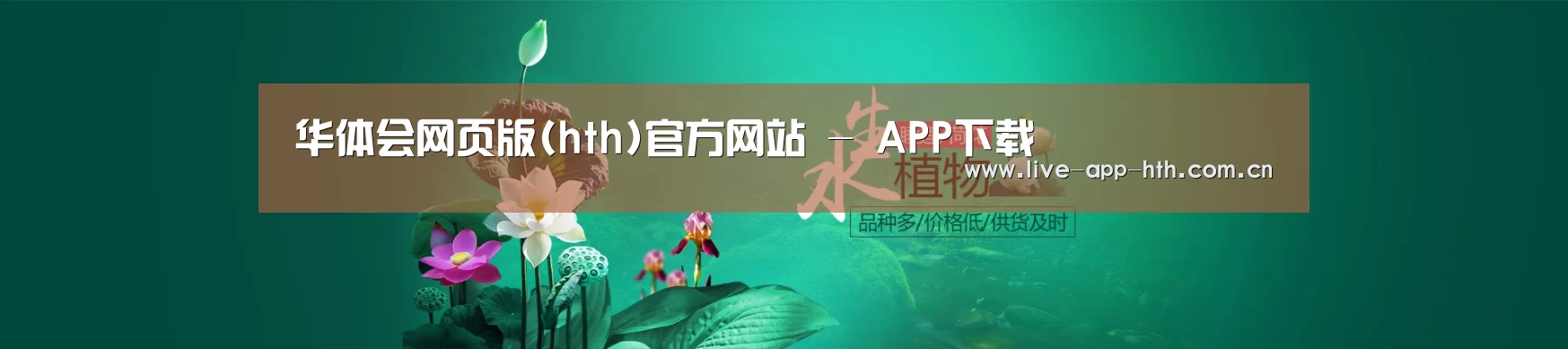 鲜花水草花卉网站模板