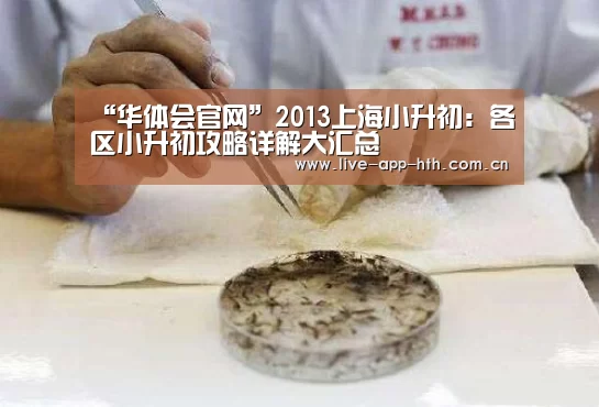 “华体会官网”2013上海小升初:各区小升初攻略详解大汇总(图2) 华体会官网