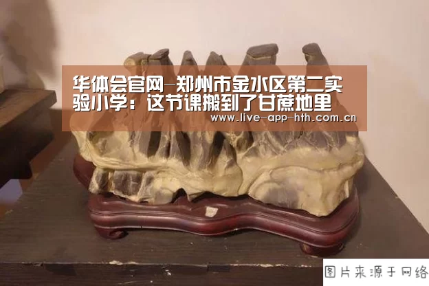 华体会