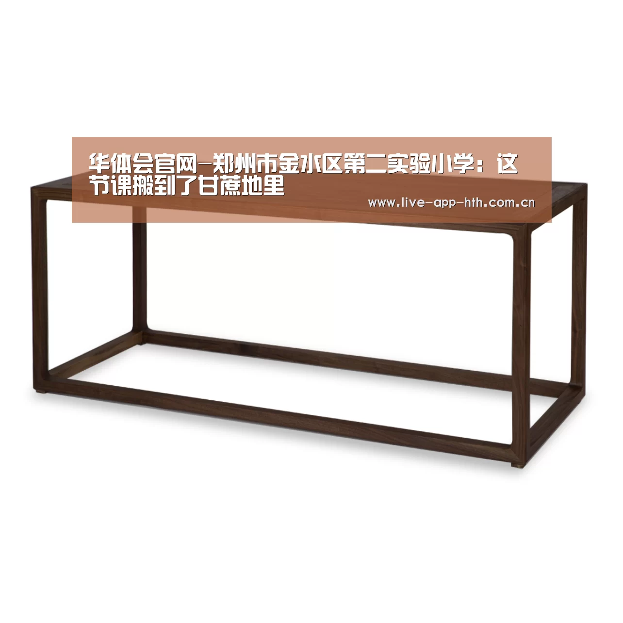 华体会棋牌