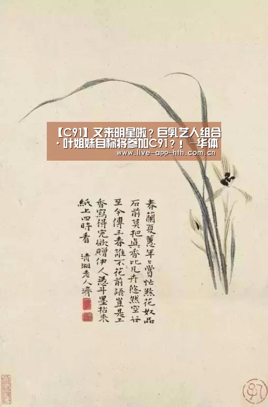 【C91】又来明星啦?巨乳艺人组合·叶姐妹自称将参加C91?!-华体会官网(图2) 华体会