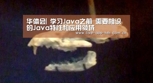 华体会官网