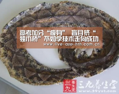 高考加分“瘦身” 盲目挤“独木桥”不如学技术走向成功捷径（图）-华体会官网